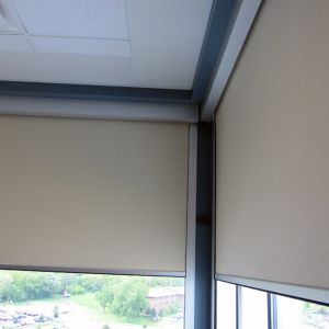 Motorized Blackout Shades