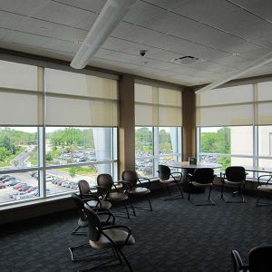 Motorized Blackout Shades