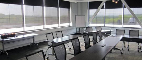 Motorized Dual Shades